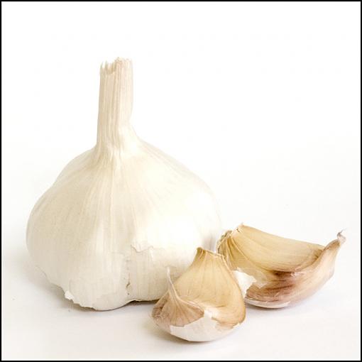 High Key-garlic-high-key-jpg.jpg