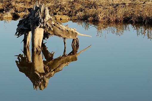 Calm Water!-calm_water_ljj_c-small.jpg