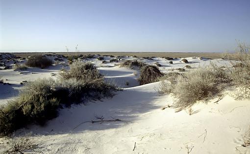 Just a Bunch of White Sand-whitesands10_march2008_px800.jpg