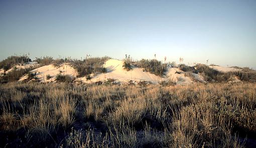 Just a Bunch of White Sand-whitesands11_march2008_px800.jpg