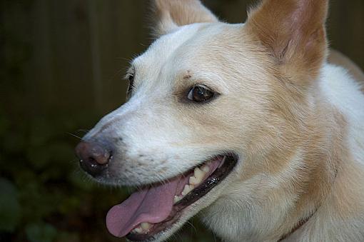 Click image for larger version.&nbsp;

Name:	_DSC0106.jpg&nbsp;
Views:	43&nbsp;
Size:	53.8 KB&nbsp;
ID:	5393