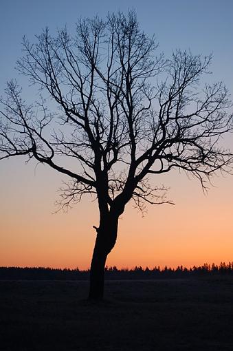 A Manitoba Sunrise view-dsc_3838.aa.jpg