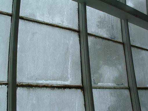 Window from the Conservatory- Does it work?-orig-resized.jpg