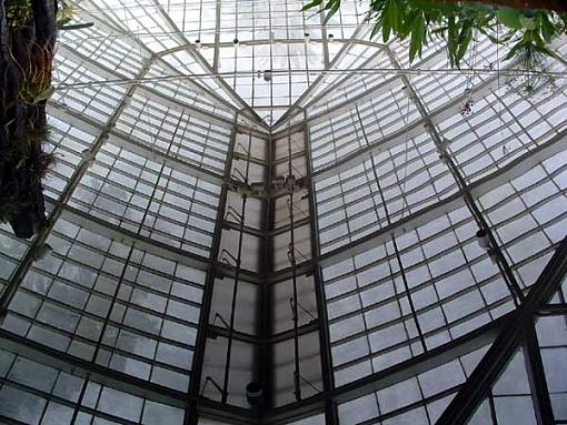 Grubby greenhouse windows-conservatory-flowers-water-copy.jpg