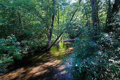 From the bridge-dsc_0023-023-medium-.jpg