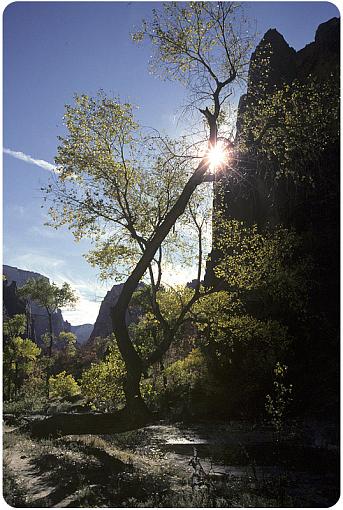 Zion NP-zion2_nov2007_rounded_px800.jpg