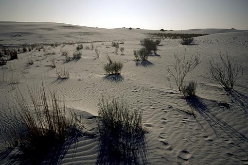 Endless desert-whitesands15_1_march2008_px800.jpg