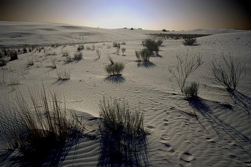 Endless desert-whitesands15_1_march2008_adj1_px800.jpg