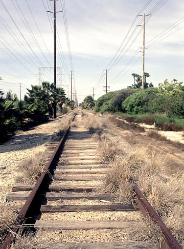 Old Tracks....-traintracks2_edit1_px800.jpg