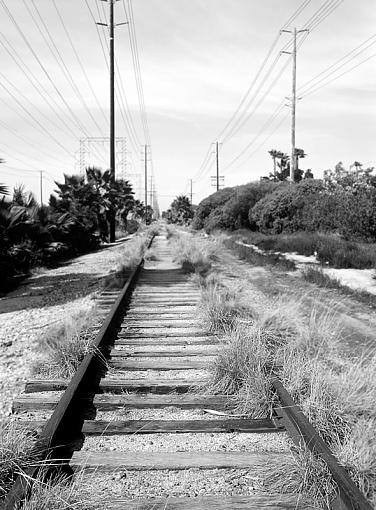 Old Tracks....-traintracks2_edit1_bw_px800.jpg