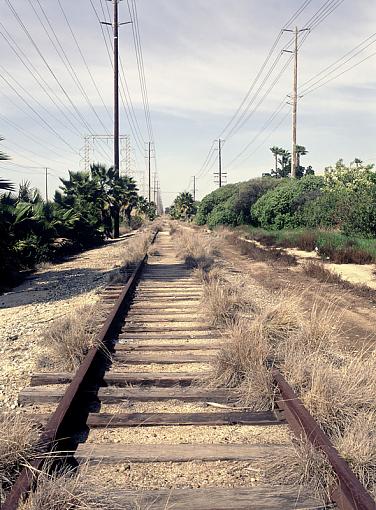 Old Tracks....-traintracks2_px800.jpg