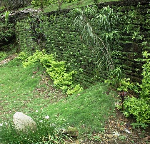 Mossy Wall-wall.jpg