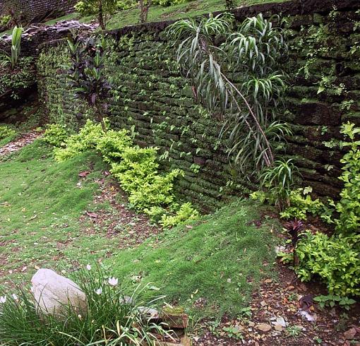 Mossy Wall-wall2.jpg