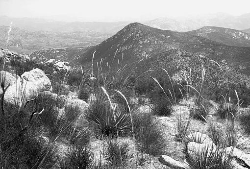 Iron Mountain-jamul1_2008_bw_px700.jpg