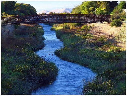 Classic calm-shoreline-park.c_img_0726.jpg