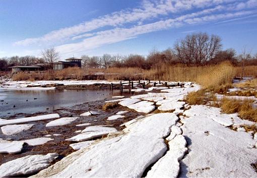Winter on the marsh-lndscp0204-228x0404web.jpg