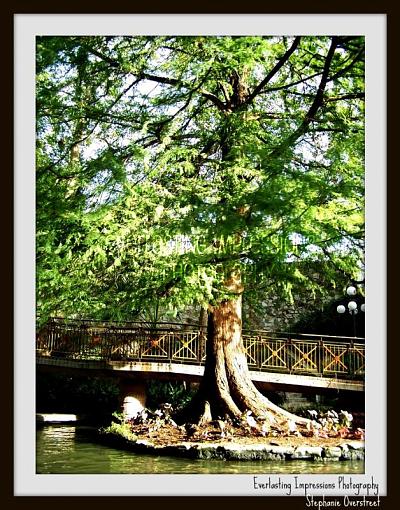 San Antonio Riverwalk.2-rwx.jpg