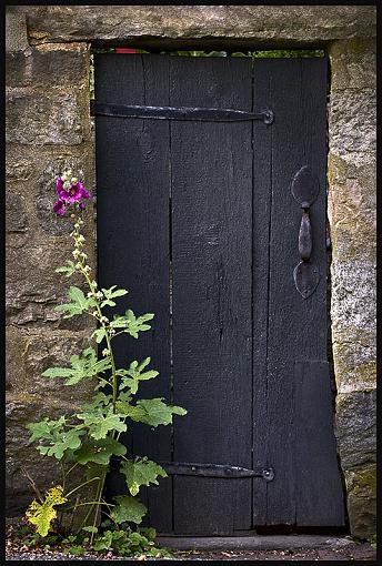 Black Door-20080717-7860-198.jpg