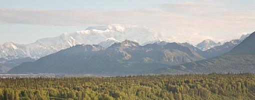 Denali-denali-crop.jpg