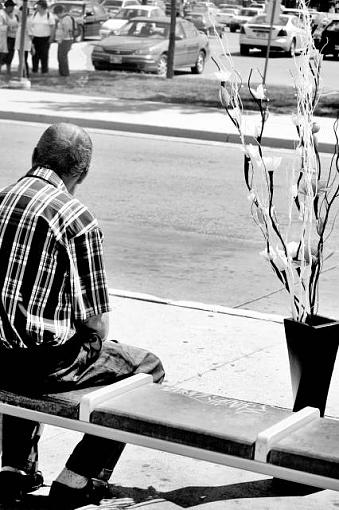 Man and His Plant-manandplantsm.jpg