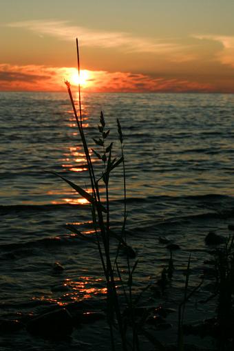 Grasses and Sunset-img_5671.jpg