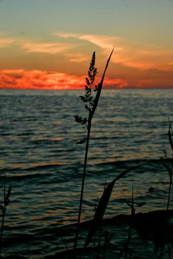 Grasses and Sunset-img_5682.jpg