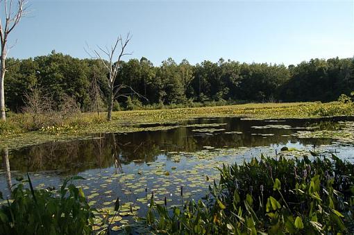 Bass fishin anyone?-dsc_2439-medium-.jpg