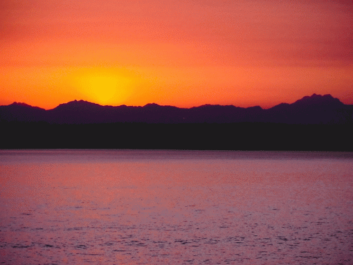 Sunset in Seattle-sunset.gif