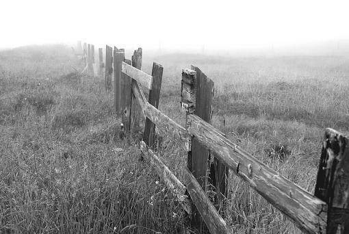 Fence-dsc_1985-bw_resize.jpg