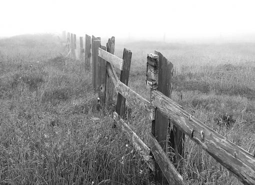 Fence-dsc_1985-bw_resize.jpg