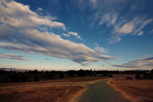 Wide Open-wide-open_c_dsc_1766.jpg