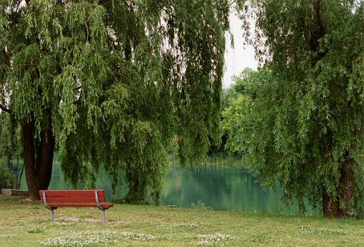 Peaaceful Parkbench-peaceful_park.jpg