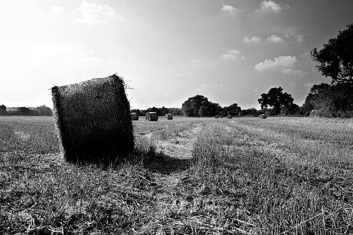 hay and fields of coleshill-img_5557-2.jpg