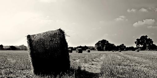 hay and fields of coleshill-untitled-1a1.jpg