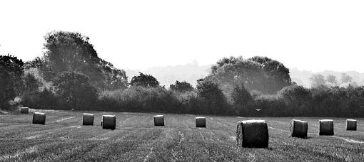 hay and fields of coleshill-untitled1.jpg