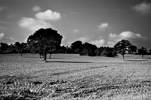 hay and fields of coleshill-img_5609-2.jpg