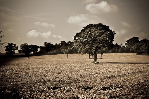 hay and fields of coleshill-img_5613-2.jpg