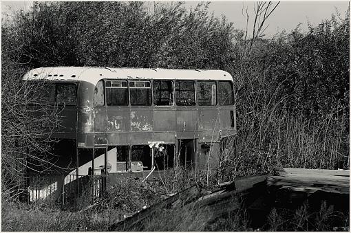 Home Alone-a1.b-w-bus.jpg