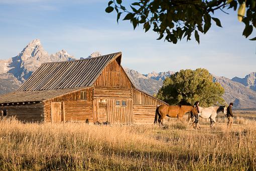 Moulton's barn-sized-photo-review-54.jpg