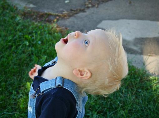 Portraits of My Grandson-img_0998-1-.jpg