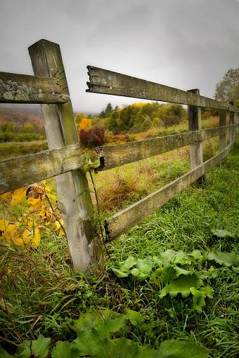 A Broken Fence-20081001-8723-2.jpg