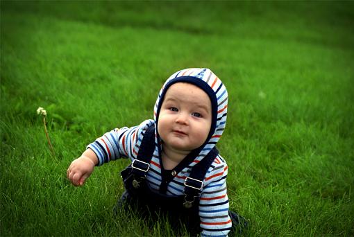 Pumpkin Day-crawling-grass.jpg