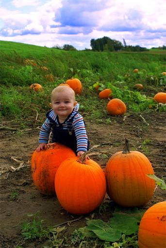 Pumpkin Day-pumpkin-patch.jpg