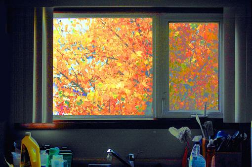 Kitchen Window-kitchenwindowsm.jpg