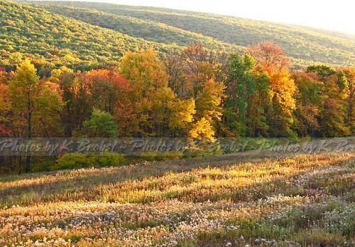 Fall in PA..-img_0597-1_edited-4.jpg