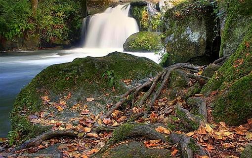 Fall at the Falls-path3-1-1med-redone-medium-.jpg