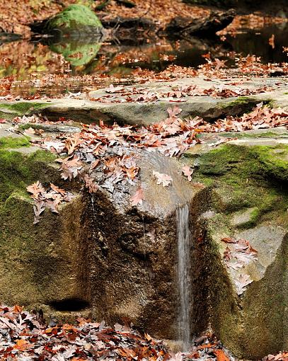 Fall Creek Gorge-fall-creek-gorge_20081025_106dsc_5398_014.jpg