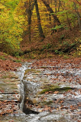 Dry fall creek.-fall-creek-gorge_20081025_201dsc_5494_024.jpg