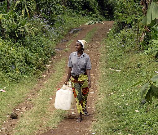 Walking Down a Path in Tanzania ...-_dsc9521_px800.jpg