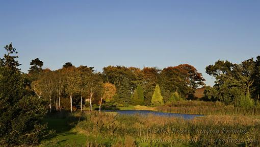 Autumnal Norfolk Broads-_mg_5523-640.jpg